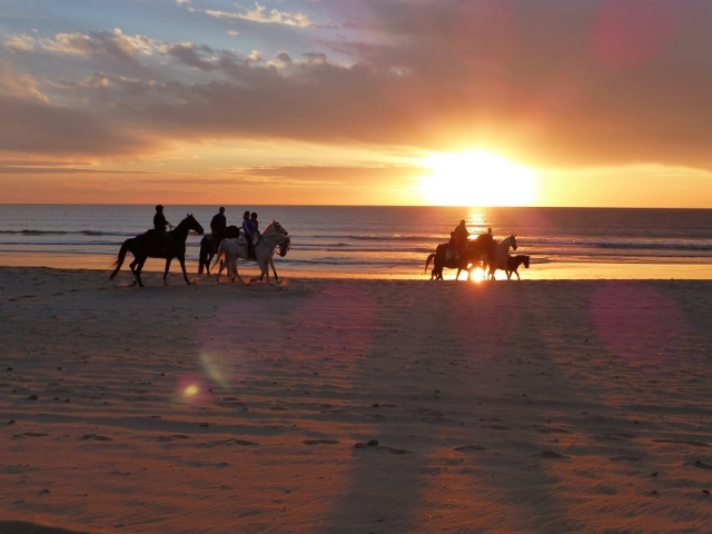 Ruta a caballo por la playa
